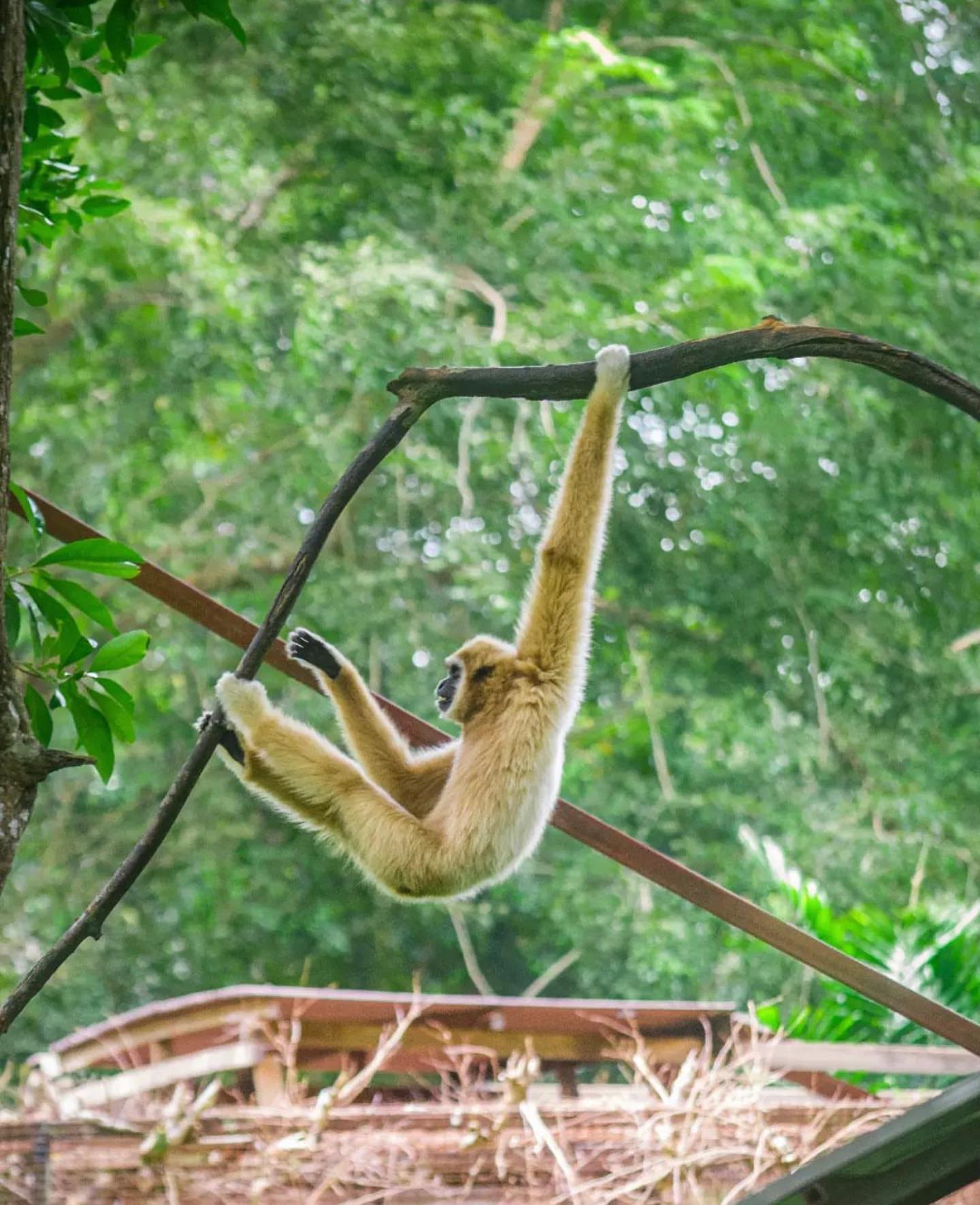 Zoo Melaka